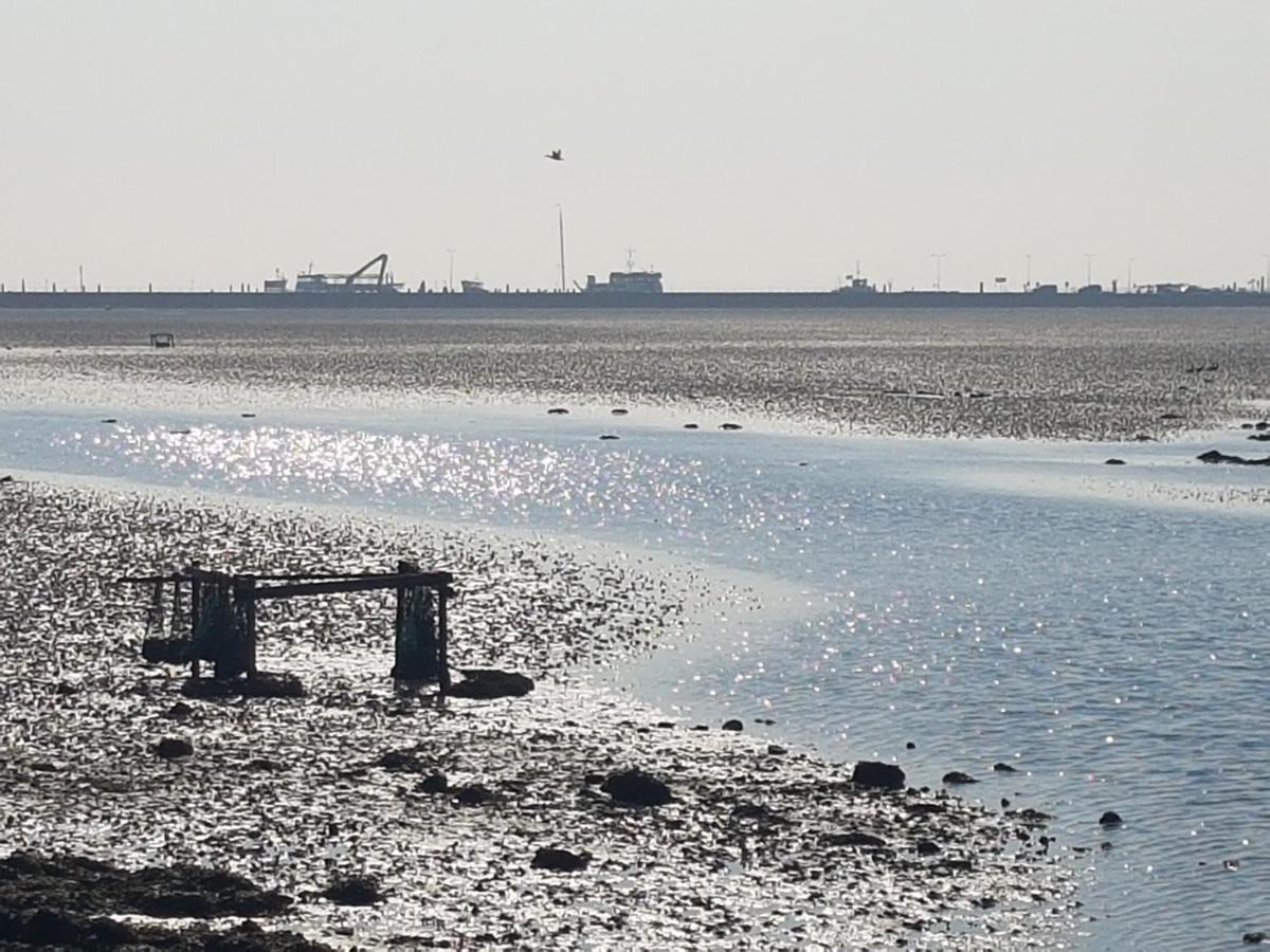Ameland Tentenverhuur Nes  Bagian luar foto